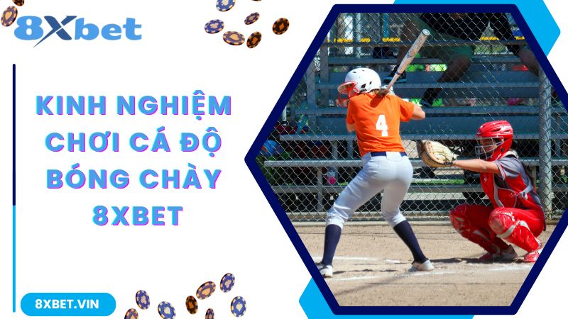 Kinh nghiệm tham gia cá độ bóng chày giúp thắng chắc 100%
